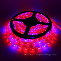 Hot sales on alibaba 5050 DC12v 5M/roll led grow light strip